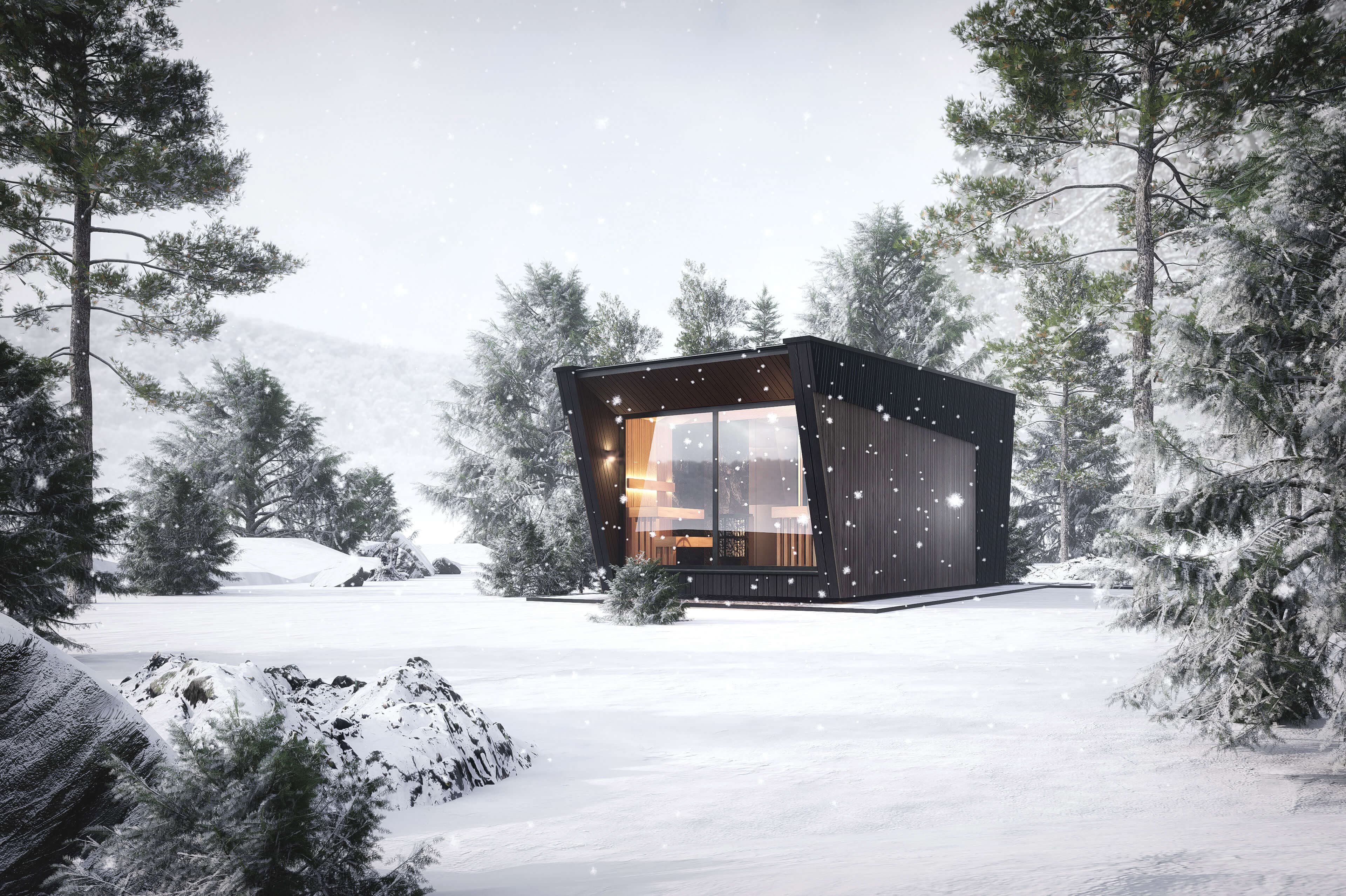 house image